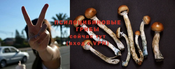 соль курить ск Алзамай