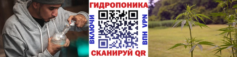 Марихуана тримм  площадка формула  KRAKEN зеркало  Амурск  дарнет шоп 